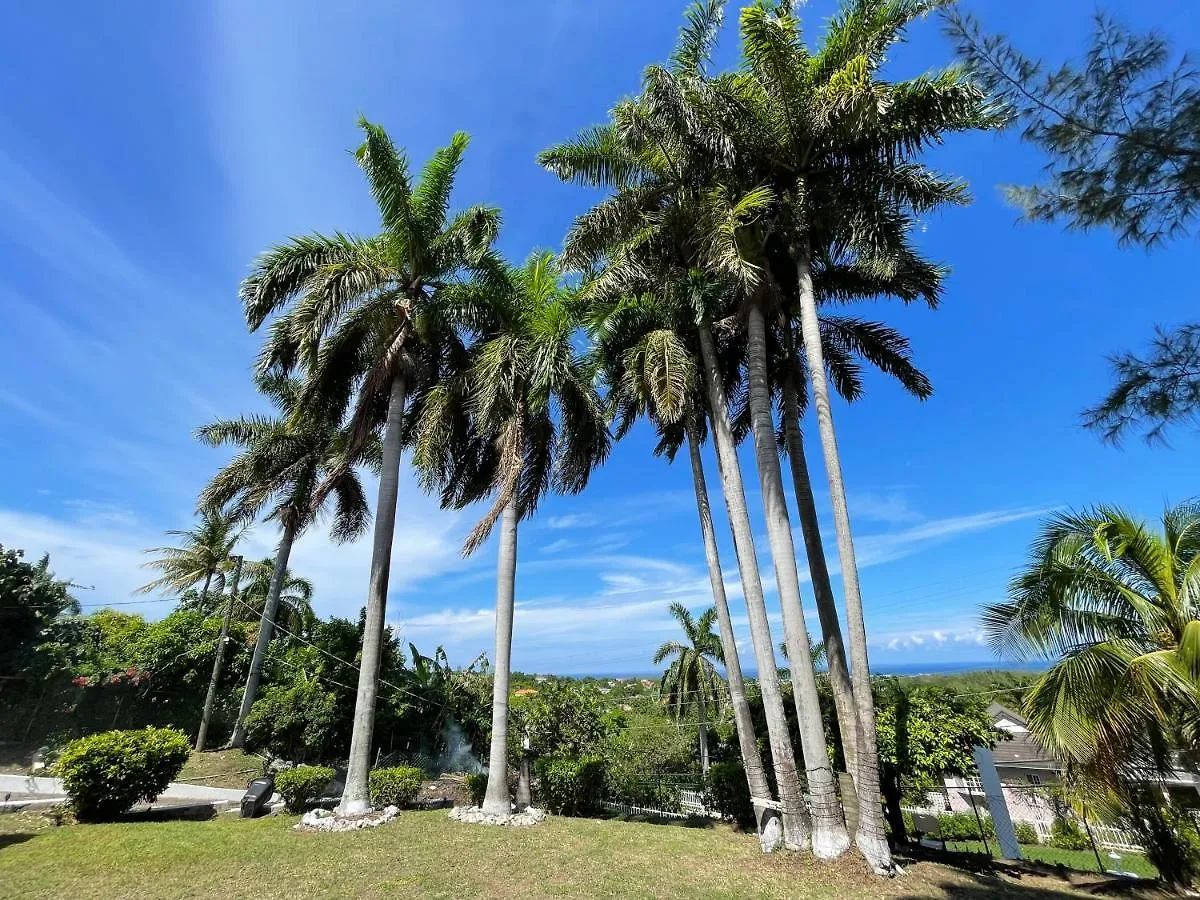 Peaceful Palms Montego Bay Hotel Guest house