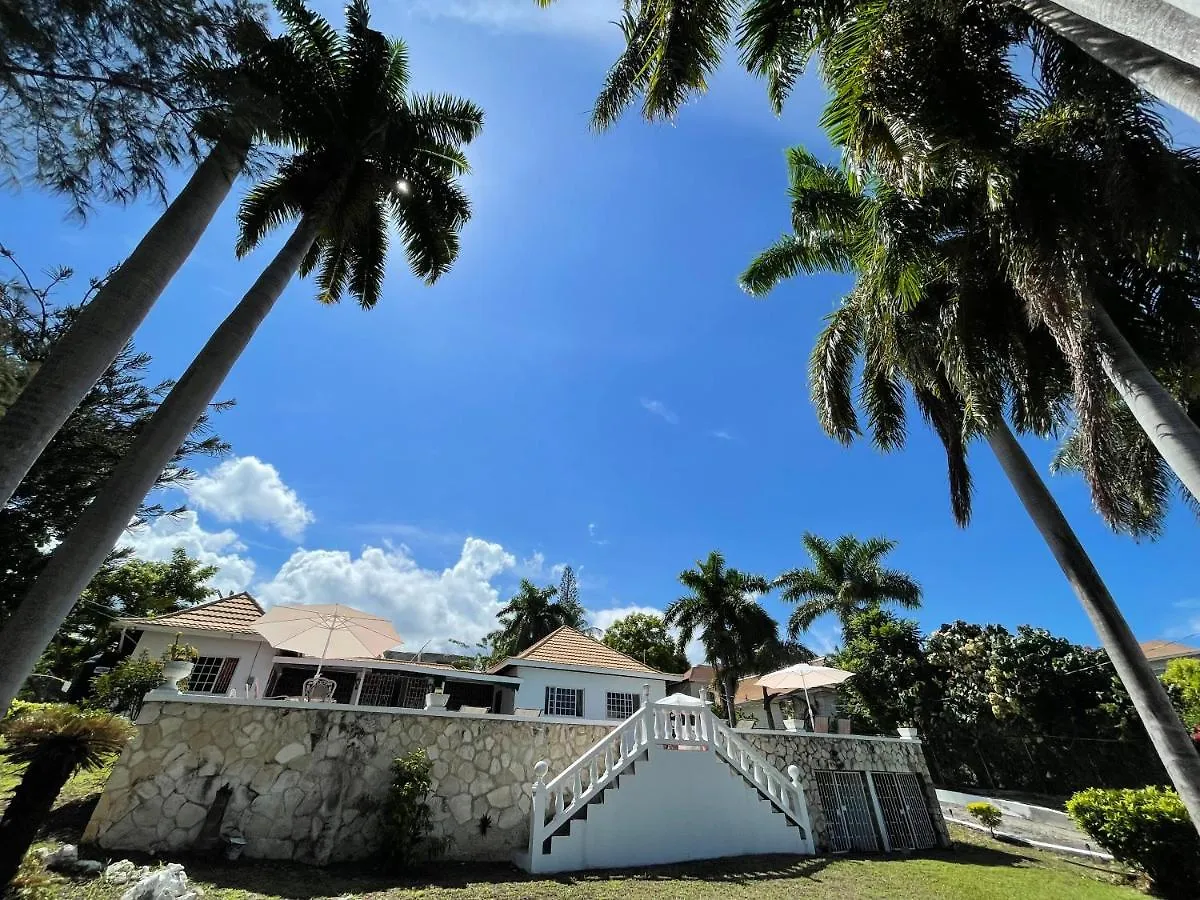 Pensión Hotel Peaceful Palms Montego Bay Jamaica