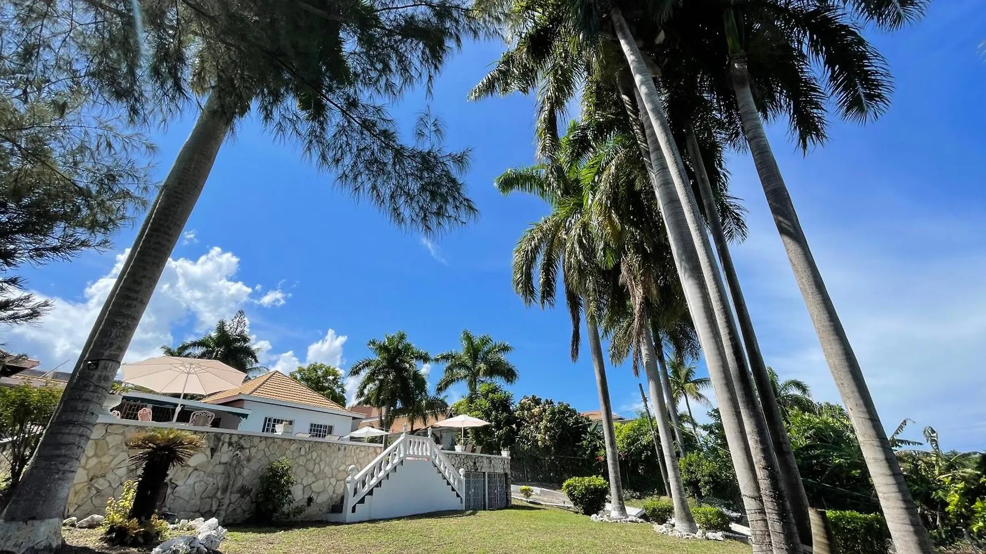 Hotel Peaceful Palms Montego Bay 0*,  Jamaica