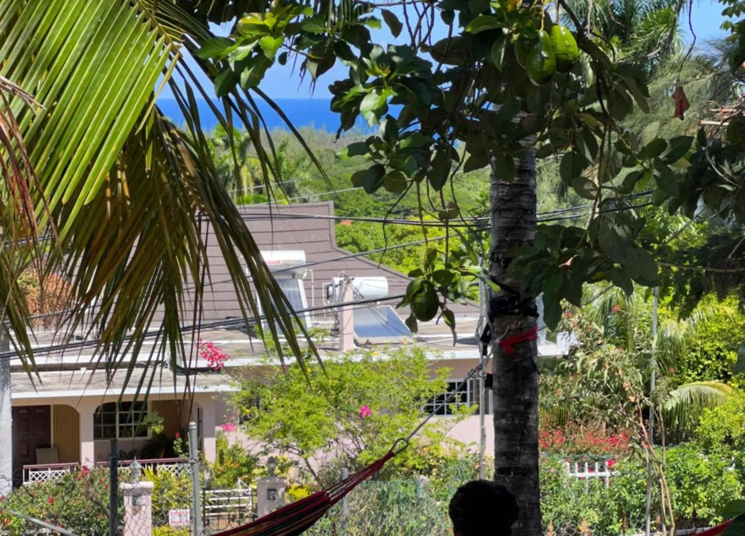 Peaceful Palms Montego Bay Hotel Jamaica