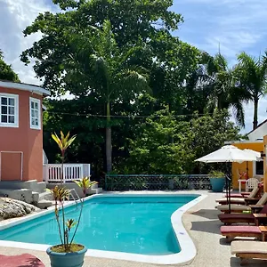 Bed & Breakfast The Blue Orchid, Montego Bay