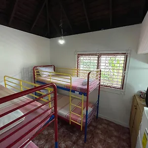 The @ Peaceful Palms Hostel